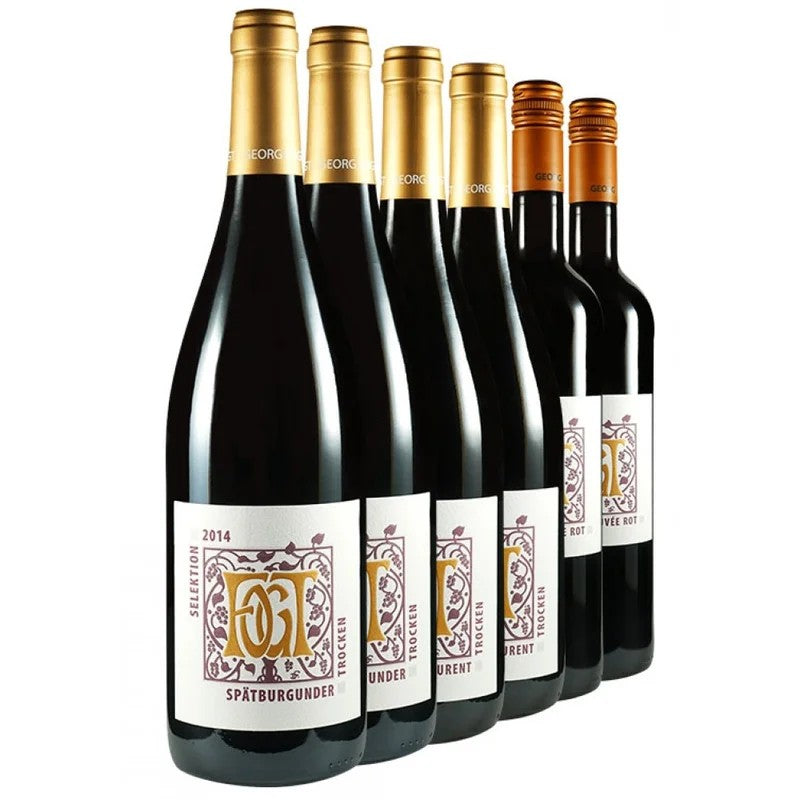 15%Rabatt“Rotwein-Probierpaket”trocken–WeingutFogt