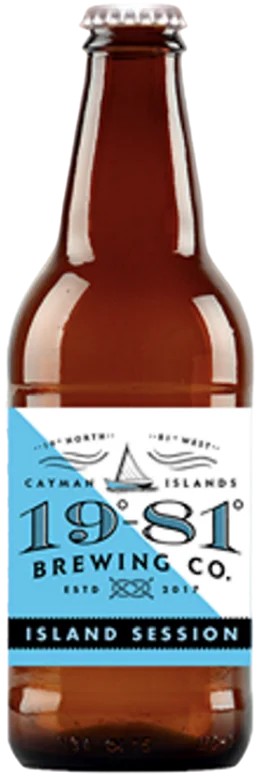 19-81Brewing–IslandSession:Bier-Bewertung&Test–BeerTasting