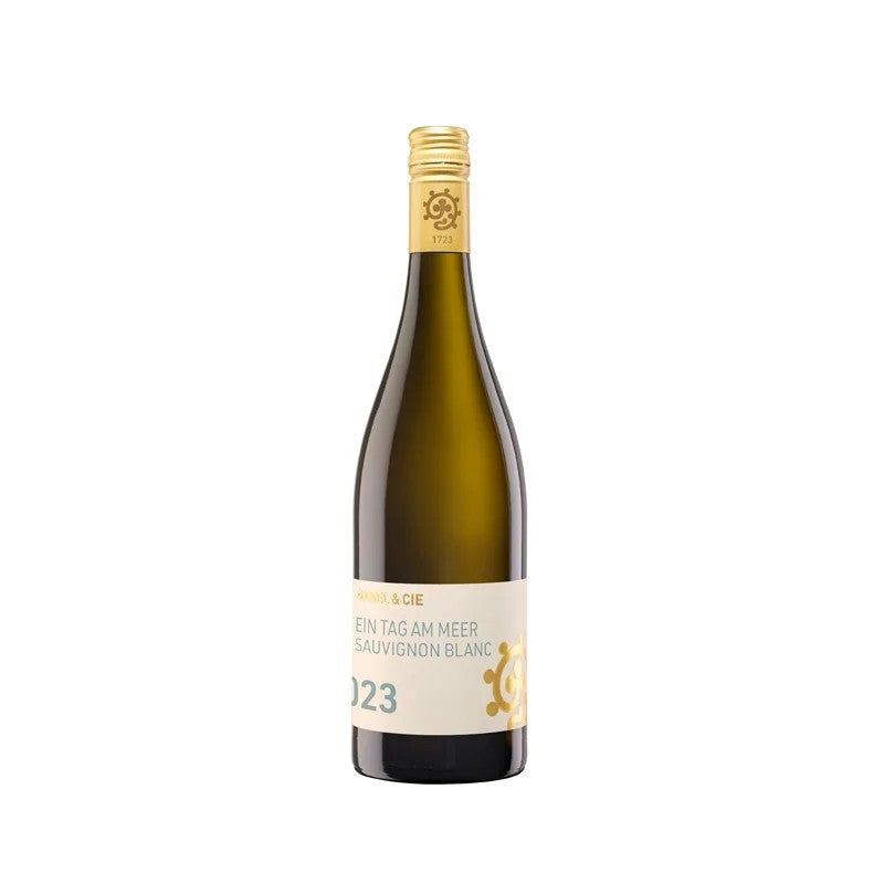 2025“TagamMeer”SauvignonBlancQbAWeingutHammel|Pfalz|Weinschmecker-Grube–WeinOstholstein