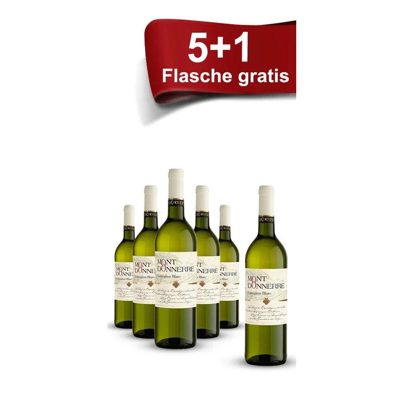 5+1Aktion“Sauvignon-Paket”–WeingutSchales