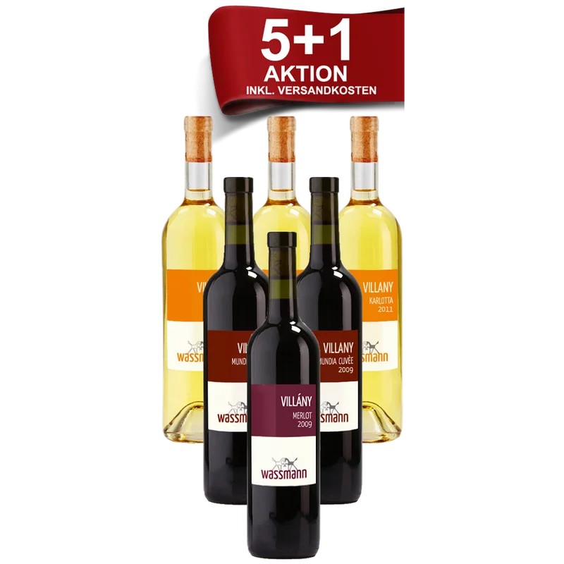 5+1UngarischerSpitzenwein–WeingutWassmann