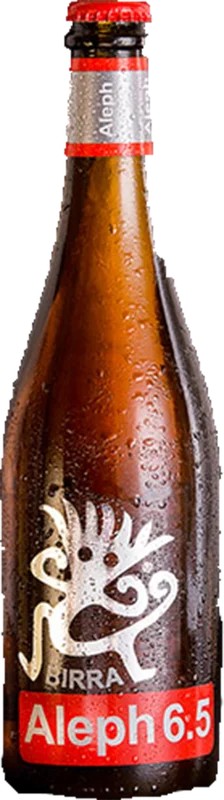 AlephAleph6.5:Bier-Bewertung&Test–BeerTasting