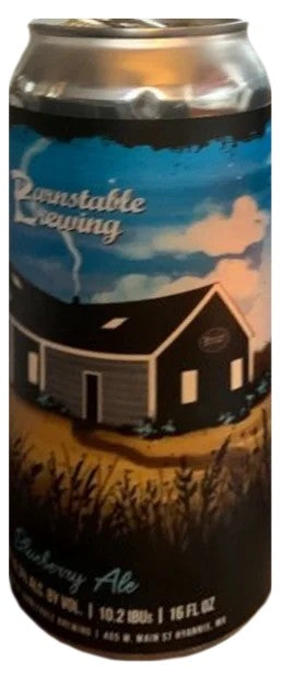 BarnstableBlueberryAle:Bier-Bewertung&Test–BeerTasting