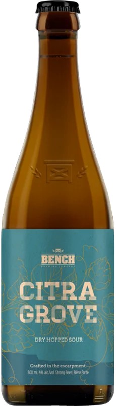 BenchCitraGrove:Bier-Bewertung&Test–BeerTasting