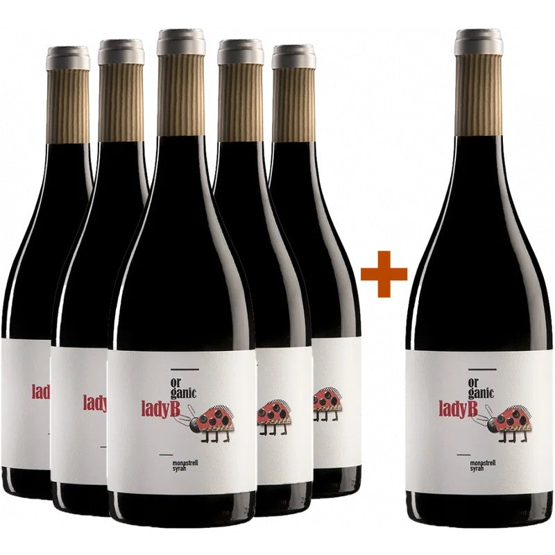 BodegasAntonioCandela5+1AktionspaketLadyBYeclaDO