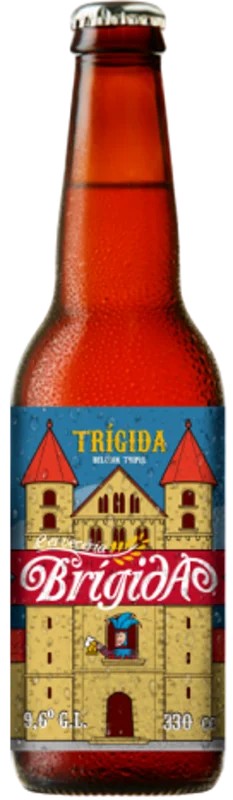 BrigidaTrigida:Bier-Bewertung&Test–BeerTasting