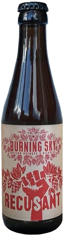 BurningSkyRecusant:Bier-Bewertung&Test–BeerTasting