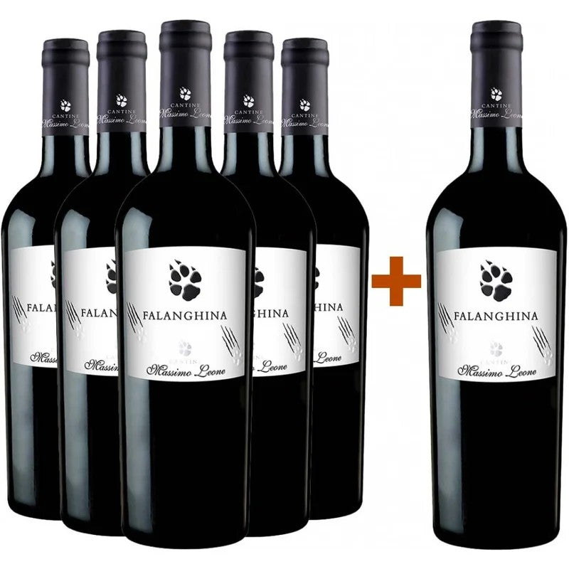 CantineMassimoLeone5+1PaketFalanghinaPugliaIGP