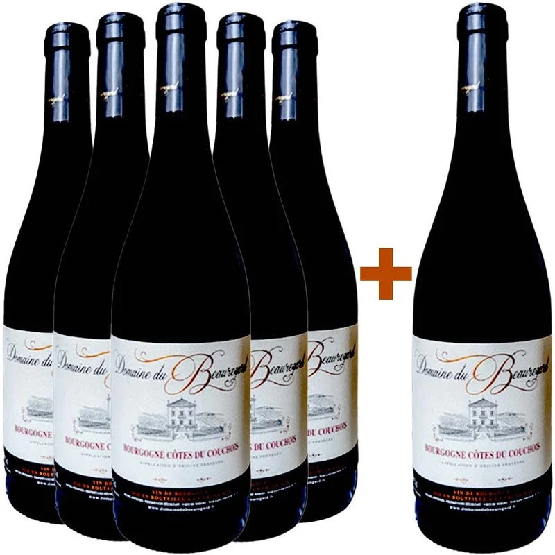DomaineduBeauregard5+1PaketBourgogneCôtesduCouchois
