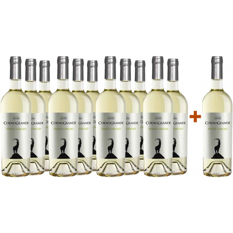 EttoreGalasso11+1CornoGrandePinotGrigioCollinePescaresiIGP