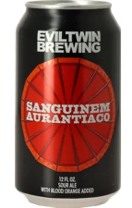 EvilTwin–SanguinemAurantiaco:Bier-Bewertung&Test–BeerTasting