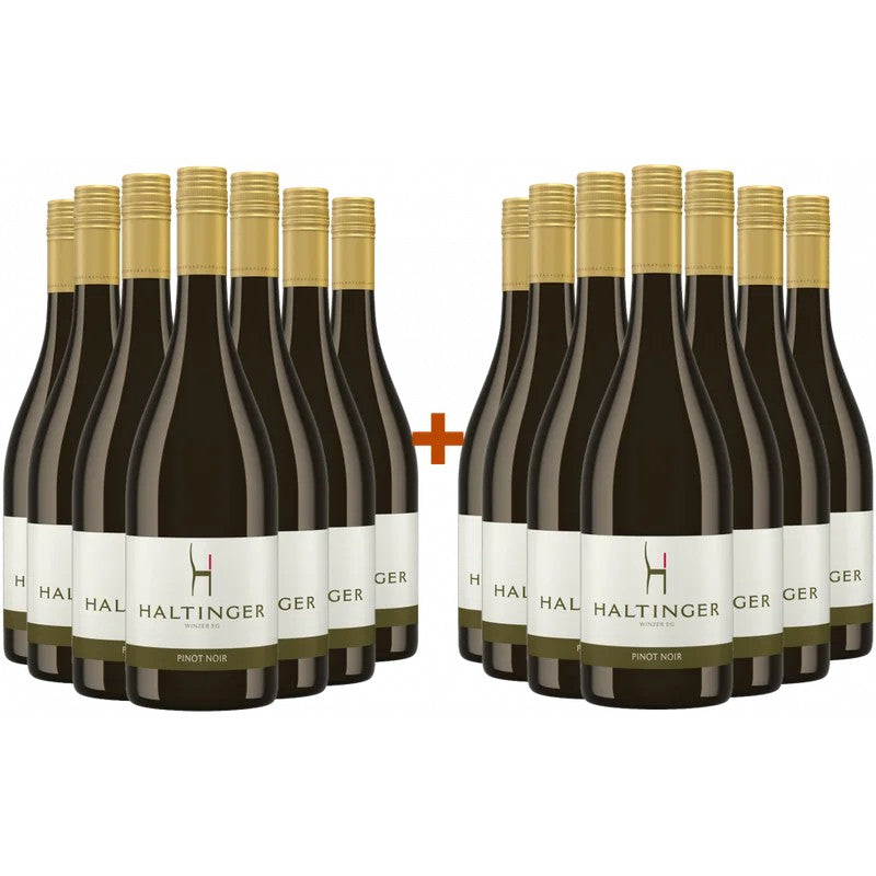 HaltingerWinzereG7+7Paket2021PinotNoir