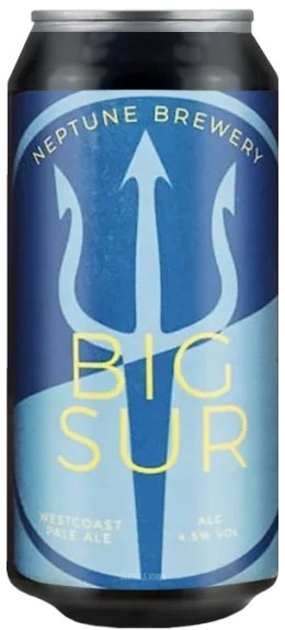 NeptuneBigSur:Bier-Bewertung&Test–BeerTasting