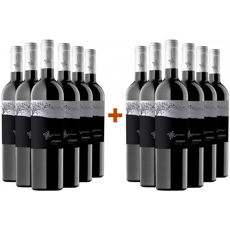 Ottoventi6+6PaketCatarrattoSiciliaDOC
