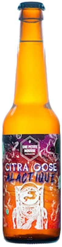 PetiteCitraGoseAlactique:Bier-Bewertung&Test–BeerTasting