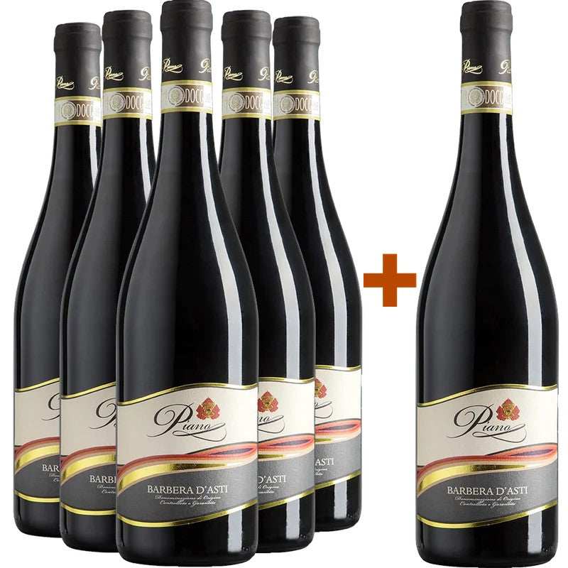 Piano5+1PaketBarberad’AstiDOCGbeiWirWinzerbestellen