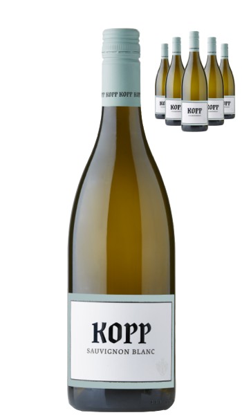 SauvignonBlancimPaketWeingutJohannesKopp