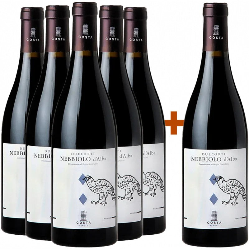 TenuteCosta5+1PaketDuecortiNebbioloD’AlbaDOC