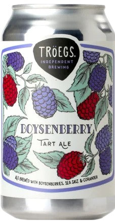TroegsBoysenberry:Bier-Bewertung&Test–BeerTasting