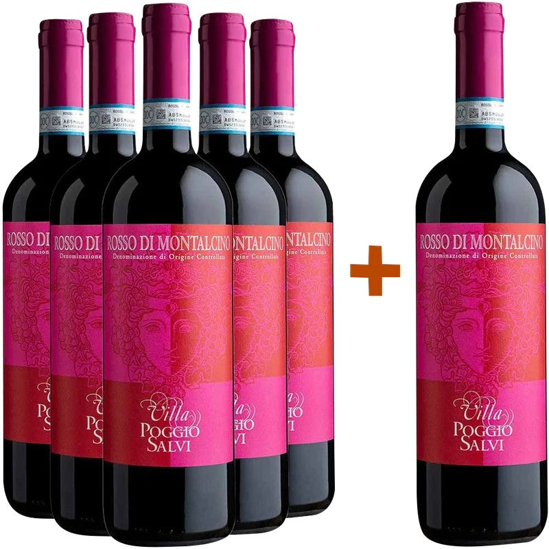 VillaPoggioSalvi5+1PaketRossodiMontalcinoDOC