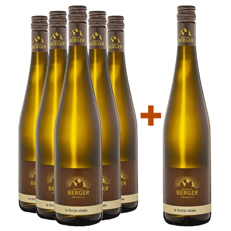 WeingutBerger5+1PaketLaForzaCuvéeweiß