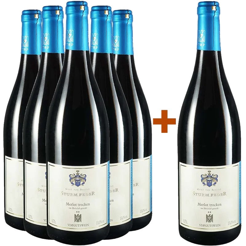 WeingutGrafvonBentzel-Sturmfeder5+1PaketSchozachMerlot**trocken