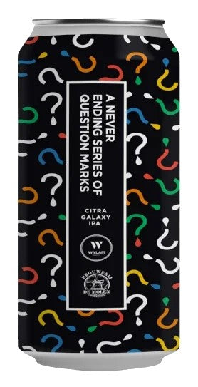 WylamBrewery–ANeverEndingSeriesofQuestionMarks:Bier-Bewertung&Test–BeerTasting
