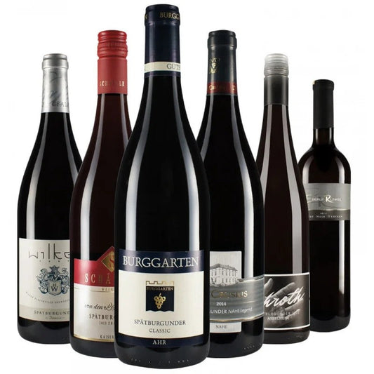 10%RabattWirWinzer-Favoriten:Spätburgunder-Pakettrocken2.0