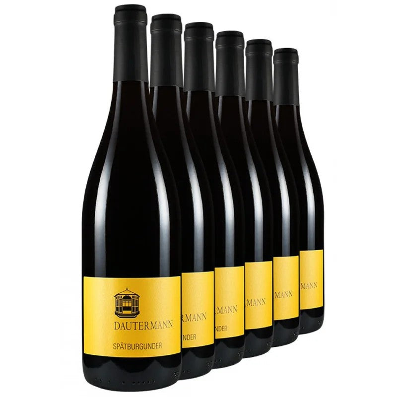 15%aufWinterlichesRotwein-Paket–WeingutDautermann