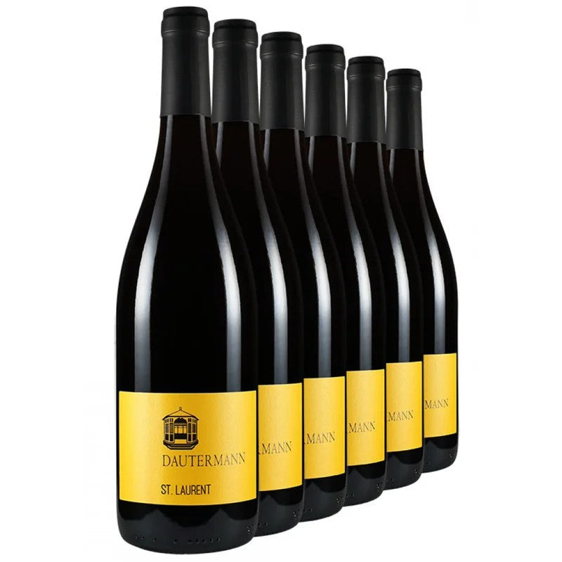15%Rabatt“St.Laurent-Paket”–WeingutDautermann