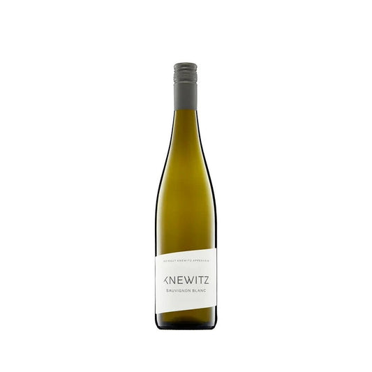 2021SauvignonBlancVDPGutsweintrockenWeingutKnewitzRheinhessen|Weinschmecker-Grube–WeinOstholstein