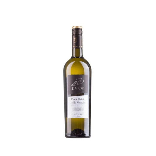 2022UVAMPinotGrigioIGTMabisVenetien|Weinschmecker-Grube–WeinOstholstein