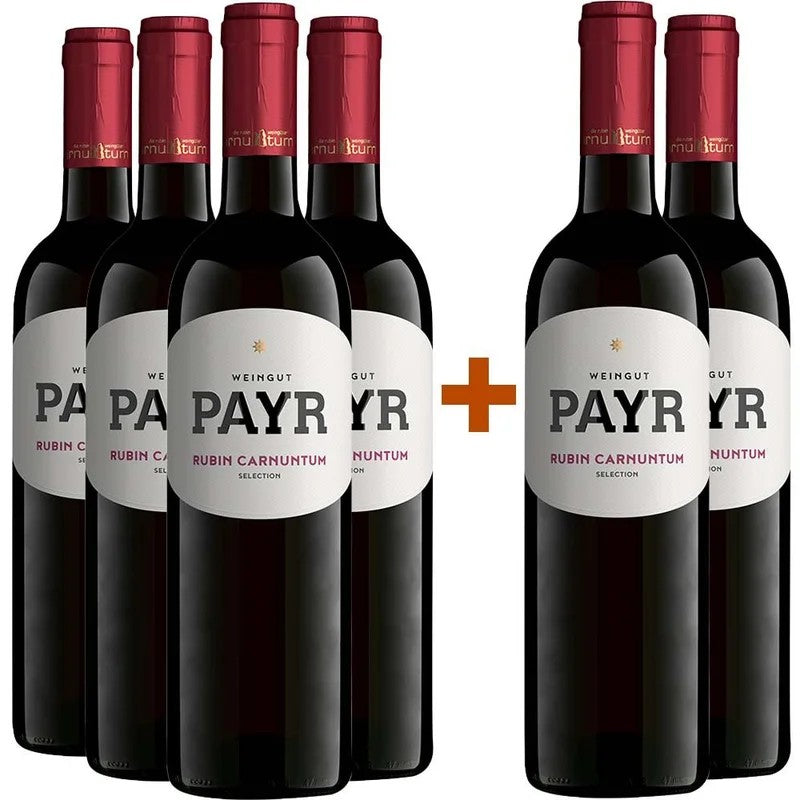 4+2PaketZweigeltRubinCarnuntumDACÖTWGebietsweintrockenBio–WeingutPayr