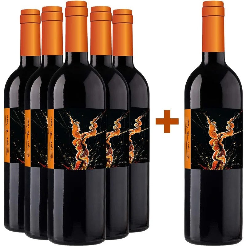 5+1Paket“EspritdeTerroir”Rouge
