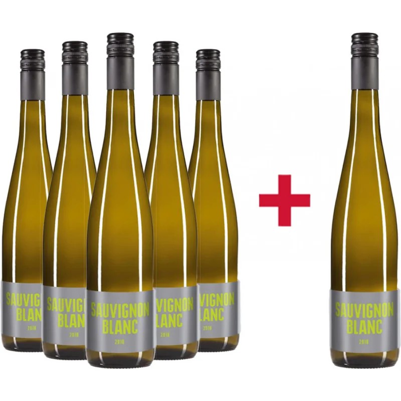 5+1SauvingonBlanctrockenPaket–WeingutDanielMattern