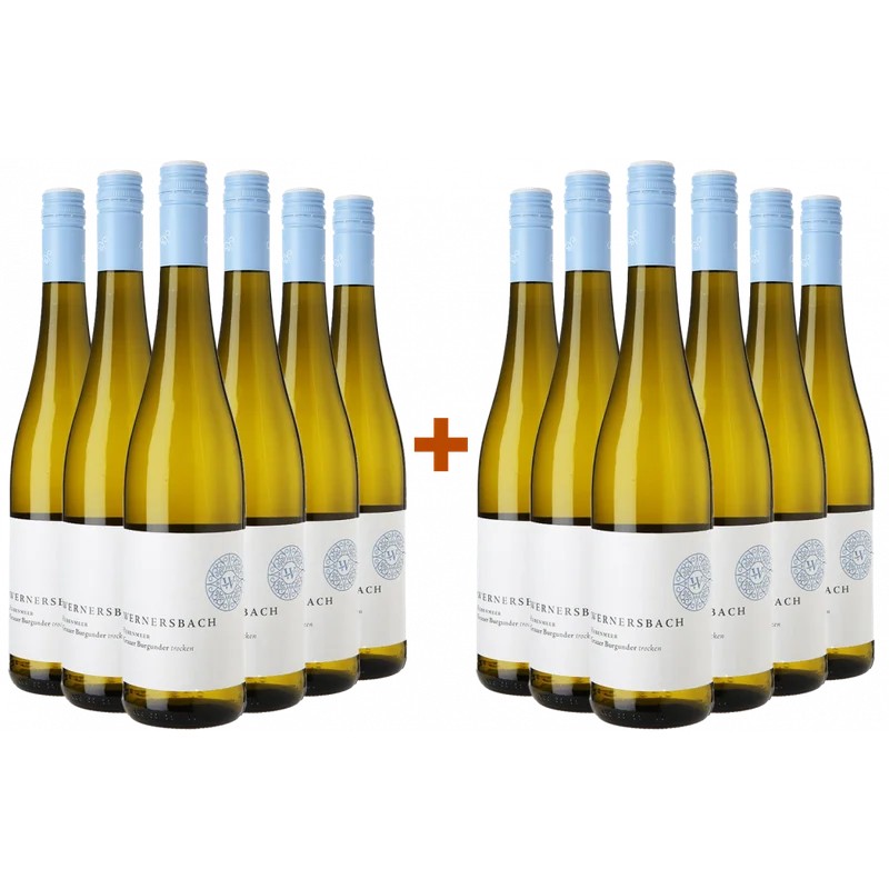 6+6PaketRebenmeerGrauburgunderbeiWirWinzerbestellen