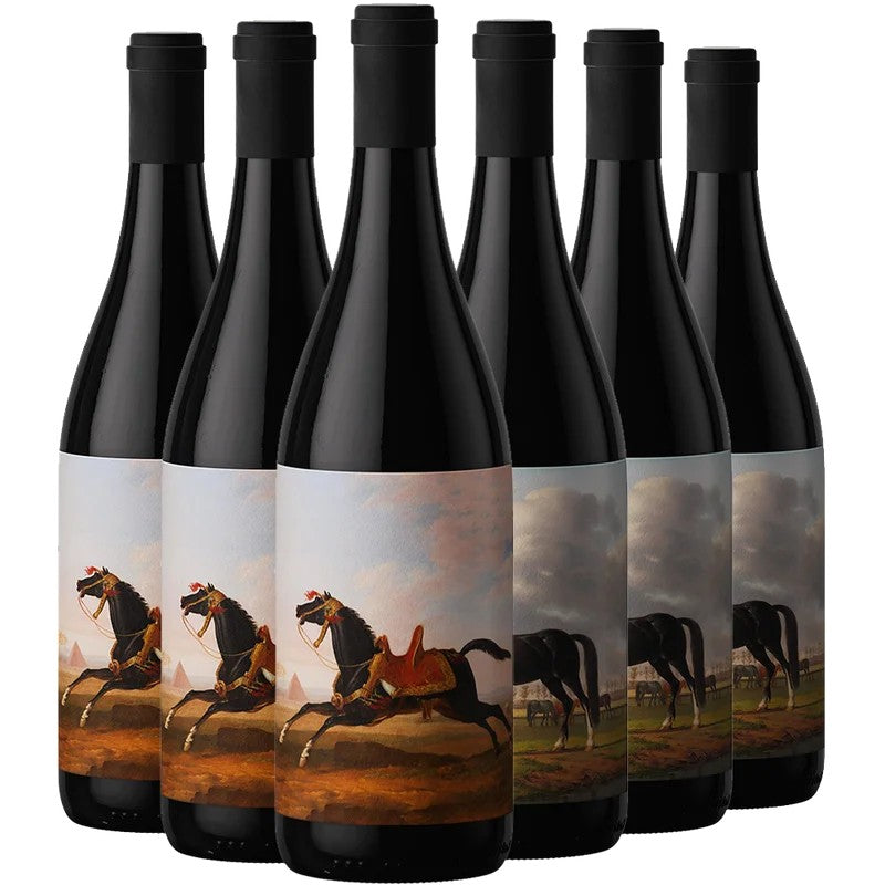 AllBlackWinesAllBlackWinesProbierpaket