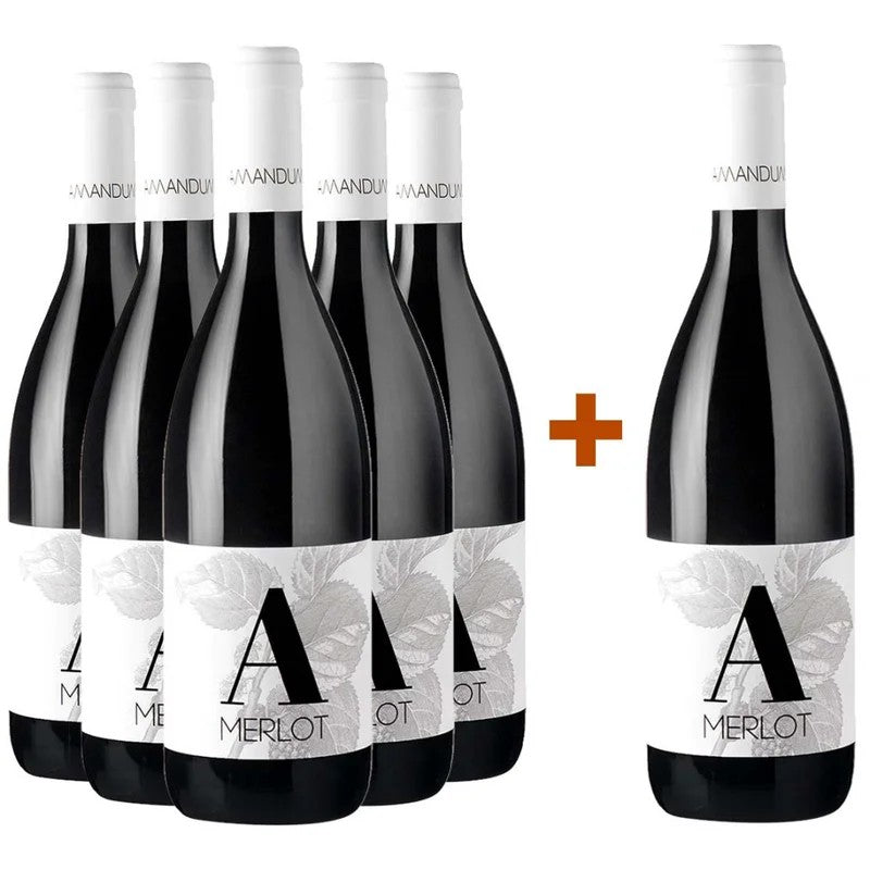 Amandum5+1PaketMerlotFriuliIsonzoDOC