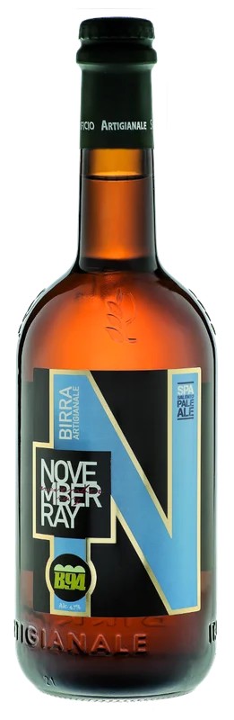 B94–NovemberRay:Bier-Bewertung&Test–BeerTasting