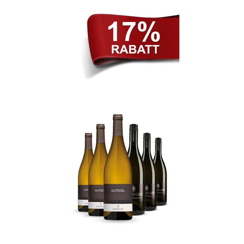 Behringer17%Rabatt“Top-KlassikerausSüdbaden”