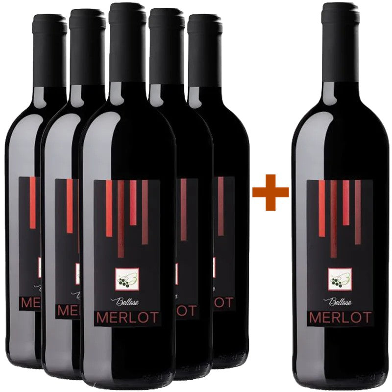 BelleseVini5+1PaketMerlotMarcaTrevigianaIGP
