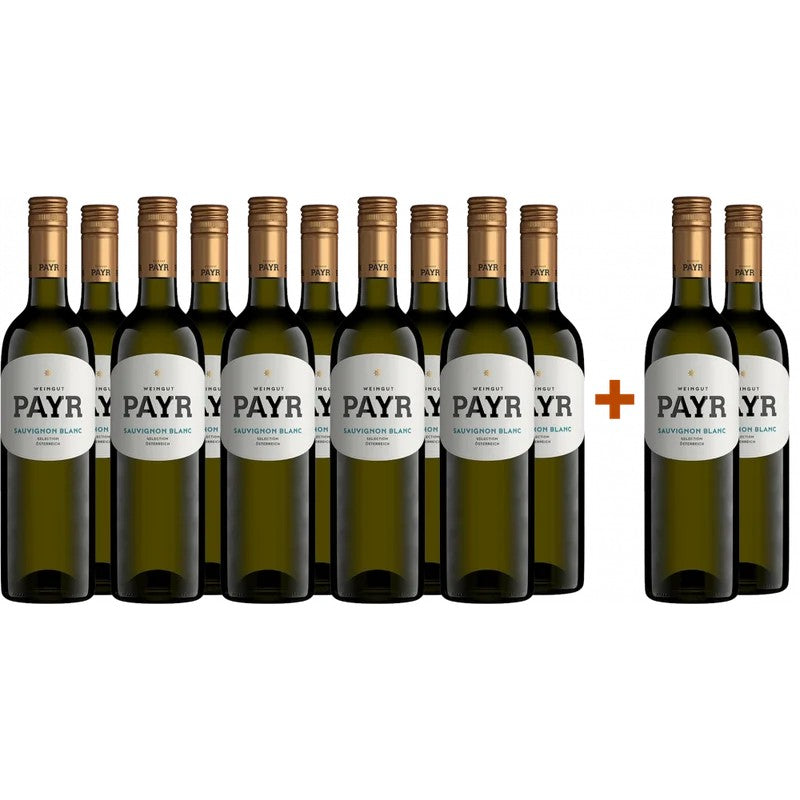 BioWeingutRobertPayr10+22024SauvignonBlancSelectionÖTWGutsweinBIO