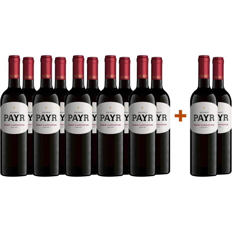 BioWeingutRobertPayr10+22024ZweigeltRubinCarnuntumDACÖTWGebietsweinBIO