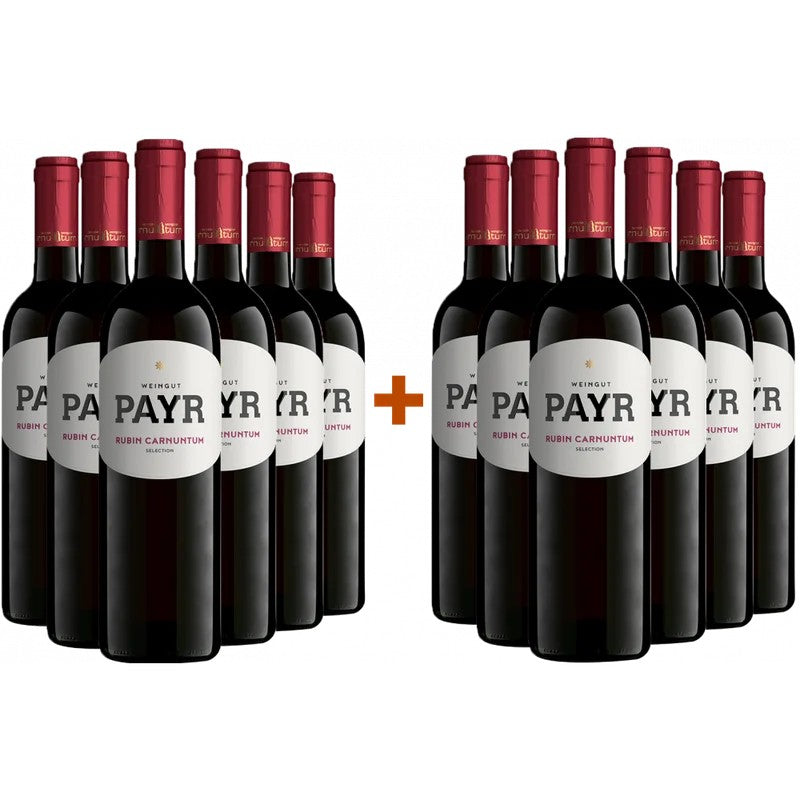 BioWeingutRobertPayr6+6PaketZweigeltRubinCarnuntumDACÖTWGebietsweinBio