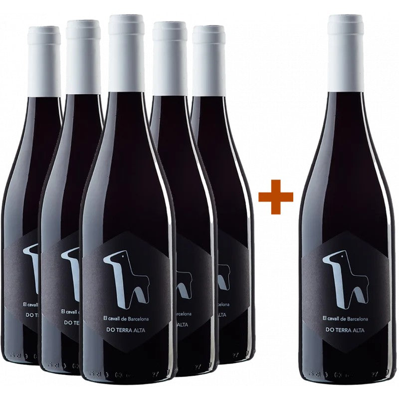BodegasAessirTerraAltaAktionspaket5+1ElCavalldeBarcelonaTerraAltaDO