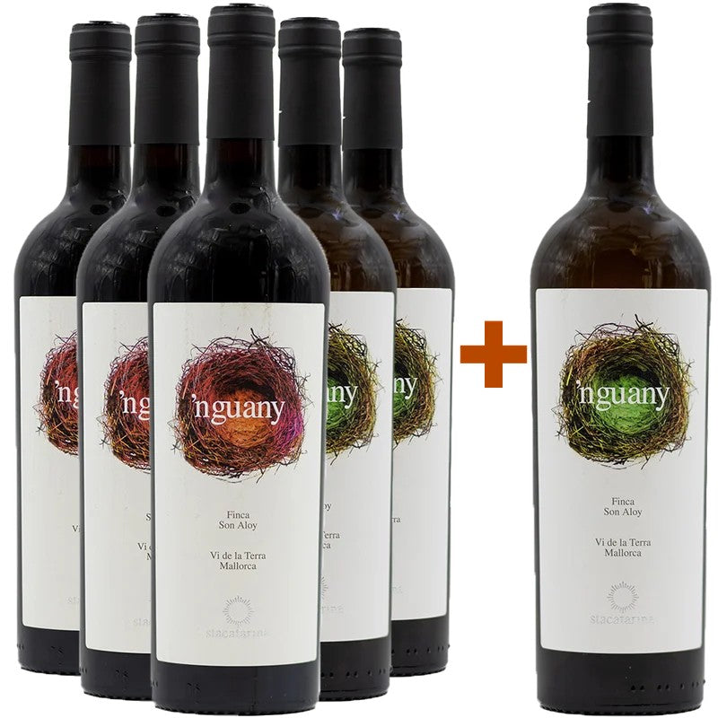 BodegaSantaCatarinaAktionspaket5+1NguanyMallorcaVT