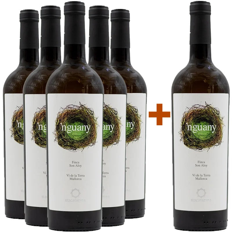 BodegaSantaCatarinaAktionspaket5+1NguanyBlancoMallorcaVT