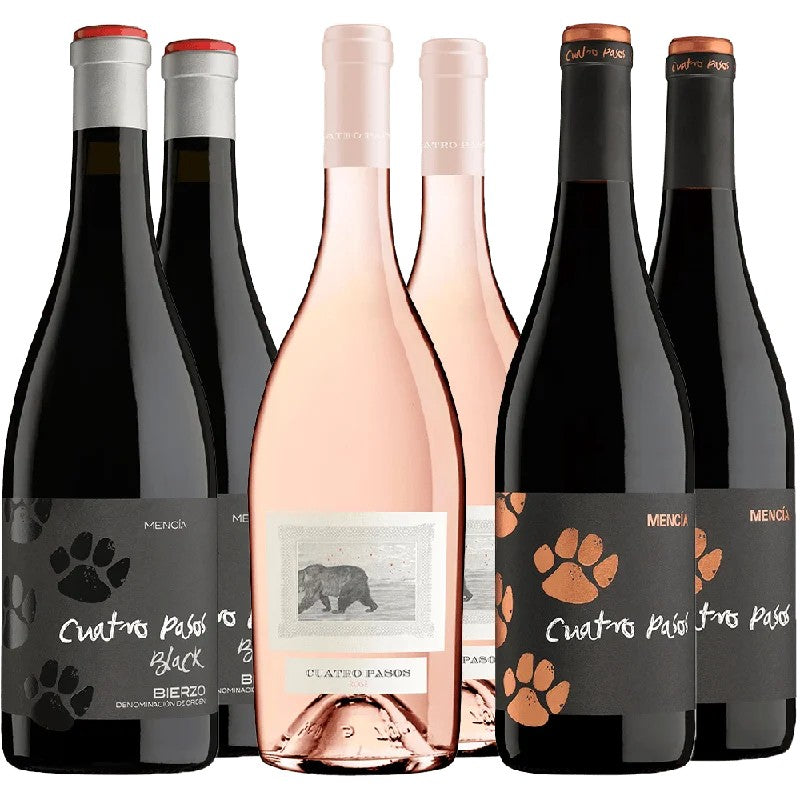 BodegasCuatroPasosKennenlern-Paket4PasosBierzoDO