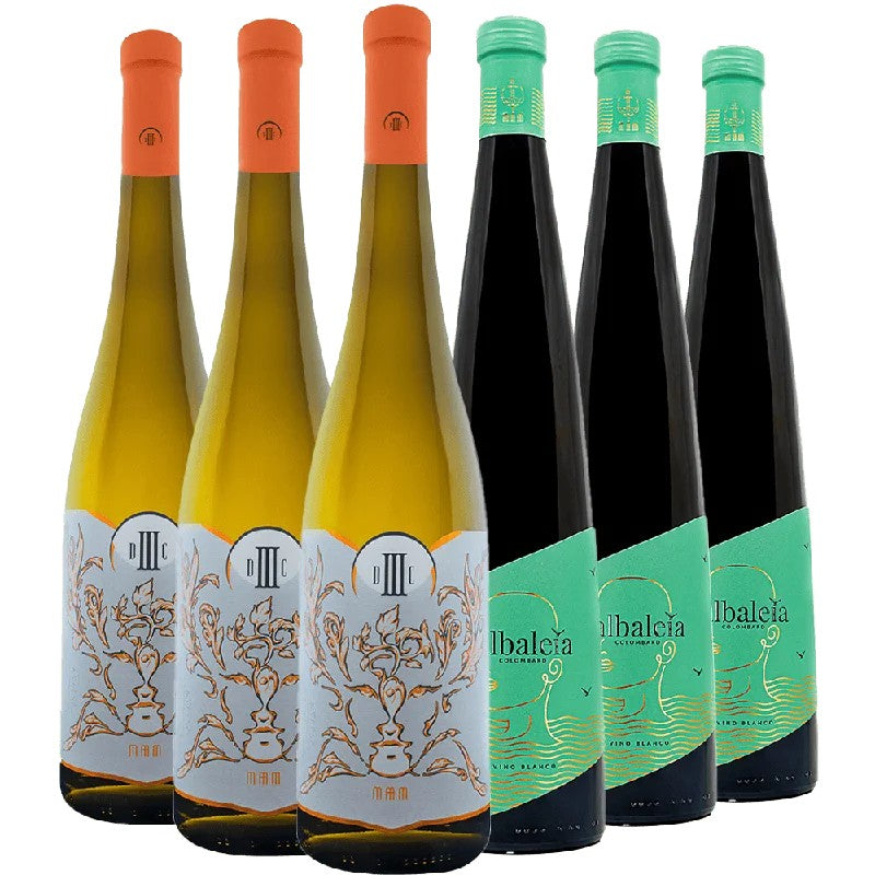 BodegasInfanteBodegasInfanteWeißweinKennenlern-Paket