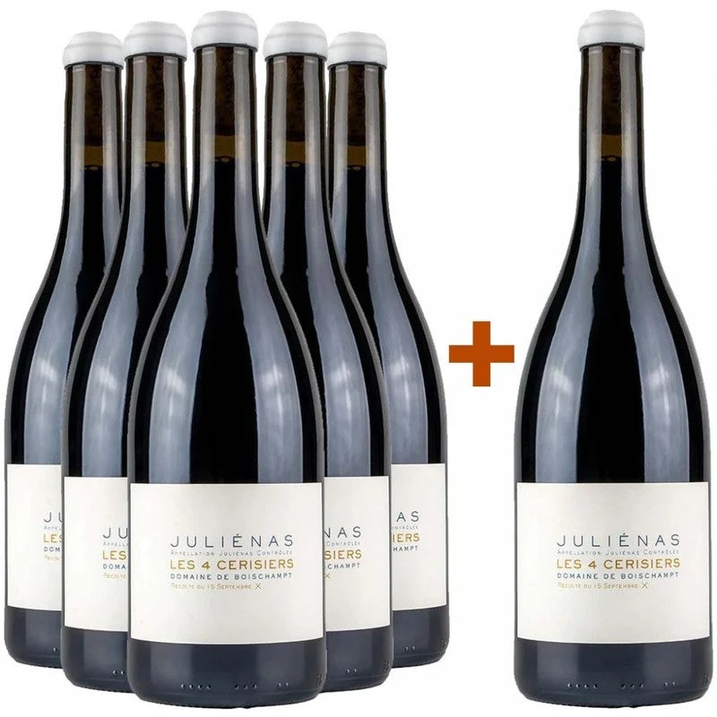 Boischampt5+1Paket“Les4Cerisiers”–Juliénas